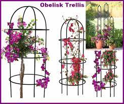 Our h potter wrought iron garden obelisk trellis can be used as a standalone. 10 Best Obelisk Trellis 2021 Better Homes And Gardens