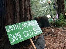 The Greening Of Capitalism International Socialist Review