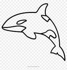 Orca killer whale, flat illustration. Full Size Of Coloring Book And Pages Orca Clipart Outline Hd Png Download 902x889 4547050 Pngfind