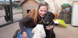 Finde jetzt schnell die besten angebote für hunde suchen ein zuhause schweiz auf allekleinanzeigen.ch. Tierhilfe Antalya Ein Grosses Herz Fur Misshandelte Hunde Windsbach Nordbayern