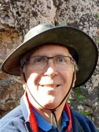 Mark Robert Dagostino