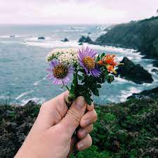We did not find results for: Instagram Photo By Lauren Finkelstein Nov 30 2014 At 5 04pm Utc Flowers Nature Pretty Flowers Plants