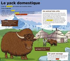 Epingle Par Eduardo Sanchez Sur French Animal And Plant Fact Sheets Animaux Animaux Et Oiseaux Photos