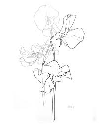 Ellsworth Kelly Plant Drawing Ellsworth Kelly Ellsworth Plant Drawing