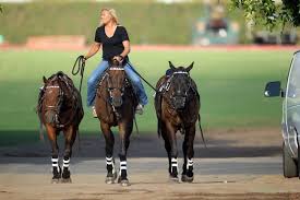 Free fire is the ultimate survival shooter game available on mobile. The Art Of Being A Polo Groom Sidelines Magazine