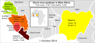 The ebola survival handbook 2014 guinea ebola outbreak yambuku ebola virus disease ebola vaccine, blood letter, love, english, text png. Datei 2014 Ebola Virus Epidemic In West Africa Png Wikipedia
