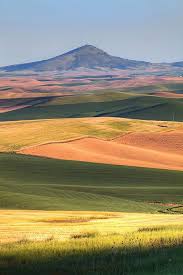 i swear this has to be steptoe butte in eastern washington state where i went to camp fire girls day camp in the summers during palouse explore nature nature i swear this has to be steptoe butte in