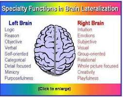 Otak kiri berperan penting dalam mengatur seluruh pusat sistem saraf dan struktur sel saraf. Fungsi Dan Menyeimbangkan Otak Kiri Dan Kanan Kita Pusat Pelatihan Garmen Bandung