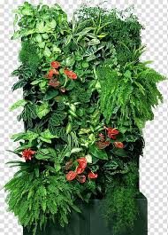 Houseplant Flowerpot Green Wall Garden Vertical Transparent Background Png Clipart Green Wall Garden Flower Garden Decorations Plants With Pink Flowers