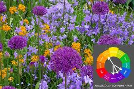 Going back to what orange and purple would make, we have to look at their primaries. What To Plant With Purple Flowers Pretty Purple Door