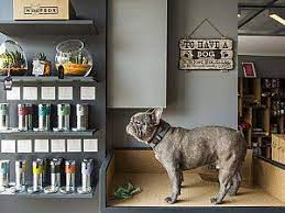 wuufbox cafe shop evcil hayvanlar hayvan tasarim