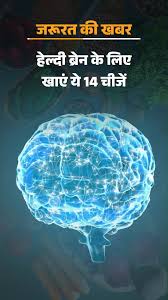 हेल्दी ब्रेन चाहिए, खाएं ये 14 चीजें: शुगर और ट्रांस फैट ब्रेन के लिए खतरा,  डॉक्टर से जानें 6 जरूरी सावधानियां #healthcare #healthyliving Anchor  @anchorNehayadav ...