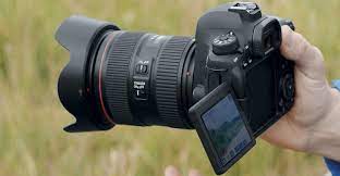 Top 10 Best Camera For Wildlife Photography In 2021 Reviews Outdoor Finders