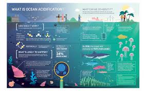 Infographic Ocean Acidification Science Communication Graphic Design Pemanasan Global Infografis Belajar