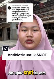 Pt Mitra Mulia Makmur