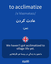 نتیجه جستجوی لغت [acclimatized] در گوگل