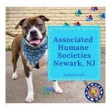 We did not find results for: Jersey Pits Rescue Home Facebook