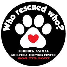 Not the real lubbock animal shelter!! Lubbock Animal Shelter Adoption Center Home Facebook