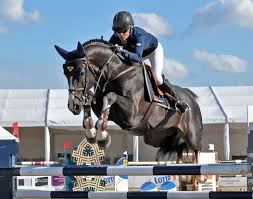 5 minutes ago springsteen, us fall to swedes in jump off, earn silver. Sweden Wins Poland Nations Cup Leg Horsetalk Co Nz