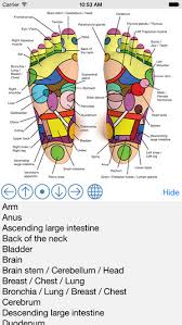 Foot Reflexology Chart On The App Store