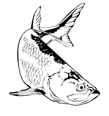 Rainbow fish gives a precious scale to small fish coloring page. Coloring Pages Coloring Pages Tarpon Printable For Kids Adults Free