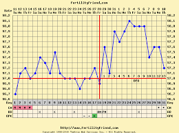 Slow Rise Bbt Pregnancy Chart Bedowntowndaytona Com