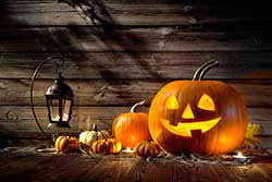 French Translation Of Halloween Collins English French Dictionary