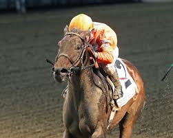 Honor Marie works for first time since Kentucky Jockey Club victory