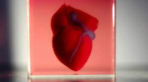 3d Printed Heart With Patient S Own Cells Advanced Science News