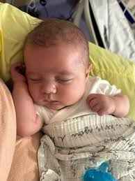 The early birds get the jade. Another 10+ pound day.