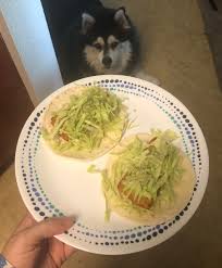 Calories for fried fish tacos. Crispy Fish Tacos Under 400 Calories 1200isplenty
