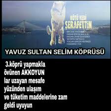 Mustafa Zeki Od Adli Kullanicinin Kotu Kedi Serafettin Panosundaki Pin Kedi Sultan Haber