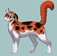 Redtail Warrior Cats Series Warrior Cats Books Warrior Cats Art