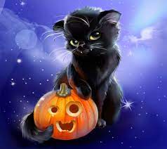 35 Cat Wallpaper For Halloween 2020 High Quality Resolution Halloween Pictures Black Cat Halloween Halloween Cat