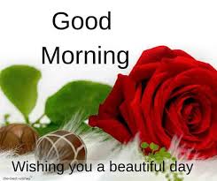 Most beautiful flowers good morning images. 150 Beautiful Good Morning Images Best Collection