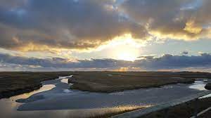 Tatsächlich ist dieser etwa 45 mal so groß. Nationalpark Schleswig Holsteinisches Wattenmeer Picture Of Nationalpark Schleswig Holsteinisches Wattenmeer Cuxhaven Tripadvisor