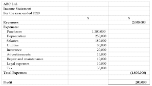 Income Statement Present By Nature Wikiaccounting