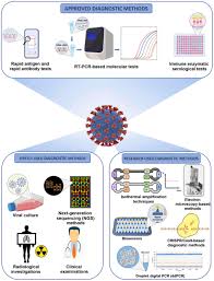 Current And Innovative Methods For The Diagnosis Of Covid 19 Infection Review