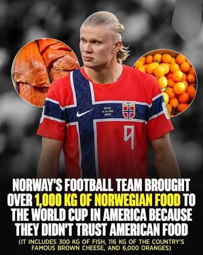 Norway Get 1000 KG Food To FIFA World Cup: Vikings Take Over US Norway may  have brought one of the most unique World Cup preparations ever seen. The  Scandinavian side shipped more