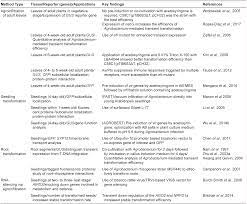 Animal cell culture techniques biology discussion. Agrobacterium Mediated Plant Transformation Biology And Applications
