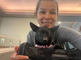 ผลิตกระเป๋านักเรียน #รับทำกระเป๋า #เป้านักเรียน #รับผลิตร้านปุณณ์ปัญ  ☎️สอบถาม 0646369947 Line 064-636-9947