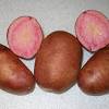 Mix the red potatoes and butter together. 1