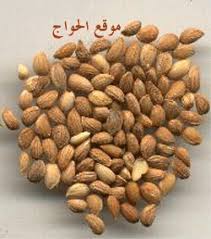 منتديات لك النسائية الأرشيف