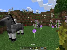 Are pumpkins rarer than diamonds in minecraft? Beginner S Guide To Naturally Occurring Blocks Minecraft Windows 10 And Xbox One Windows Central