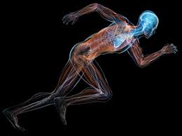 Optimizing athletic performance ... Are you balanced? 