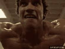 GIF Press Arnold