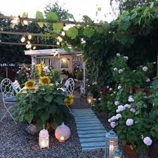 Sonnenglas Sonnenglas Instagram Fotos Und Videos Backyard Inspiration Garden Plants