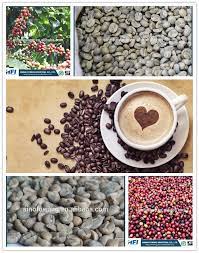 It is about our love for coffee, design, and #seetheworldthroughcoffee ***. 100 Arabica Coffee Beans Fresh Green Coffee Beans In Yunnan China Green Coffee Bean Unroasted Bean Made In China Com