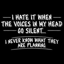 Voices In My Head Funny Quotes Head Quotes Funny Me