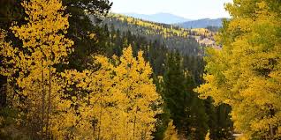 First taste of fall on the way as cooler air targets the eastern US